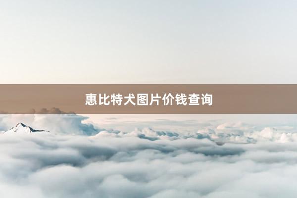 惠比特犬图片价钱查询