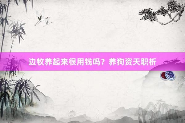 边牧养起来很用钱吗？养狗资天职析
